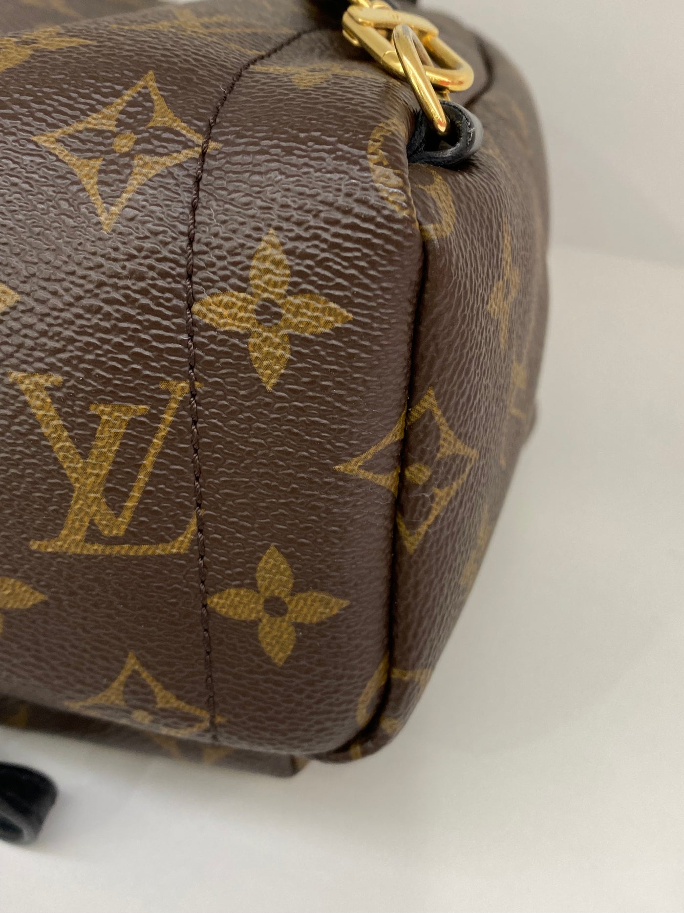 Louis Vuitton Mini Palm Springs Backpack Monogram