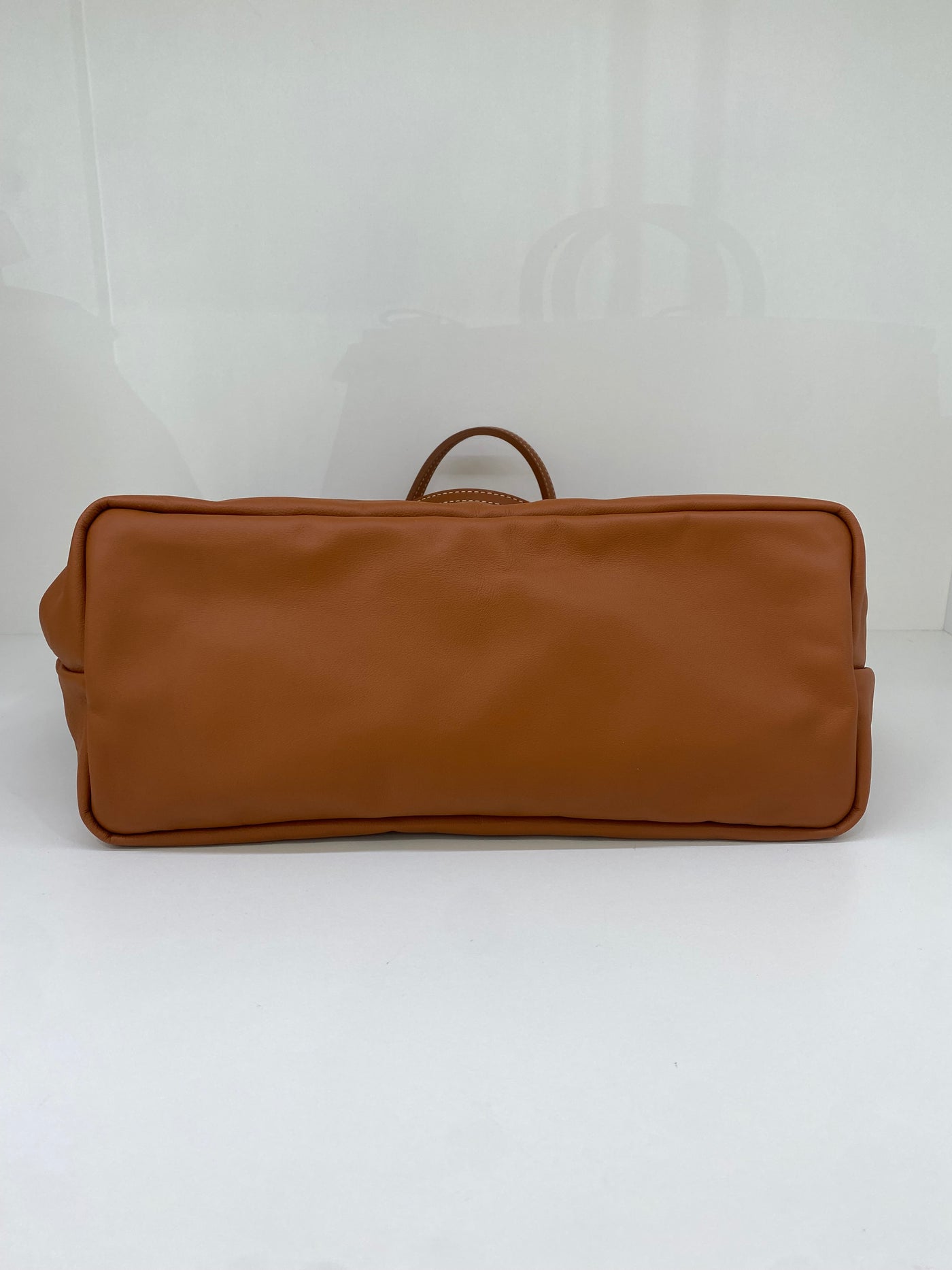 Goyard Anjou PM Black and Tan