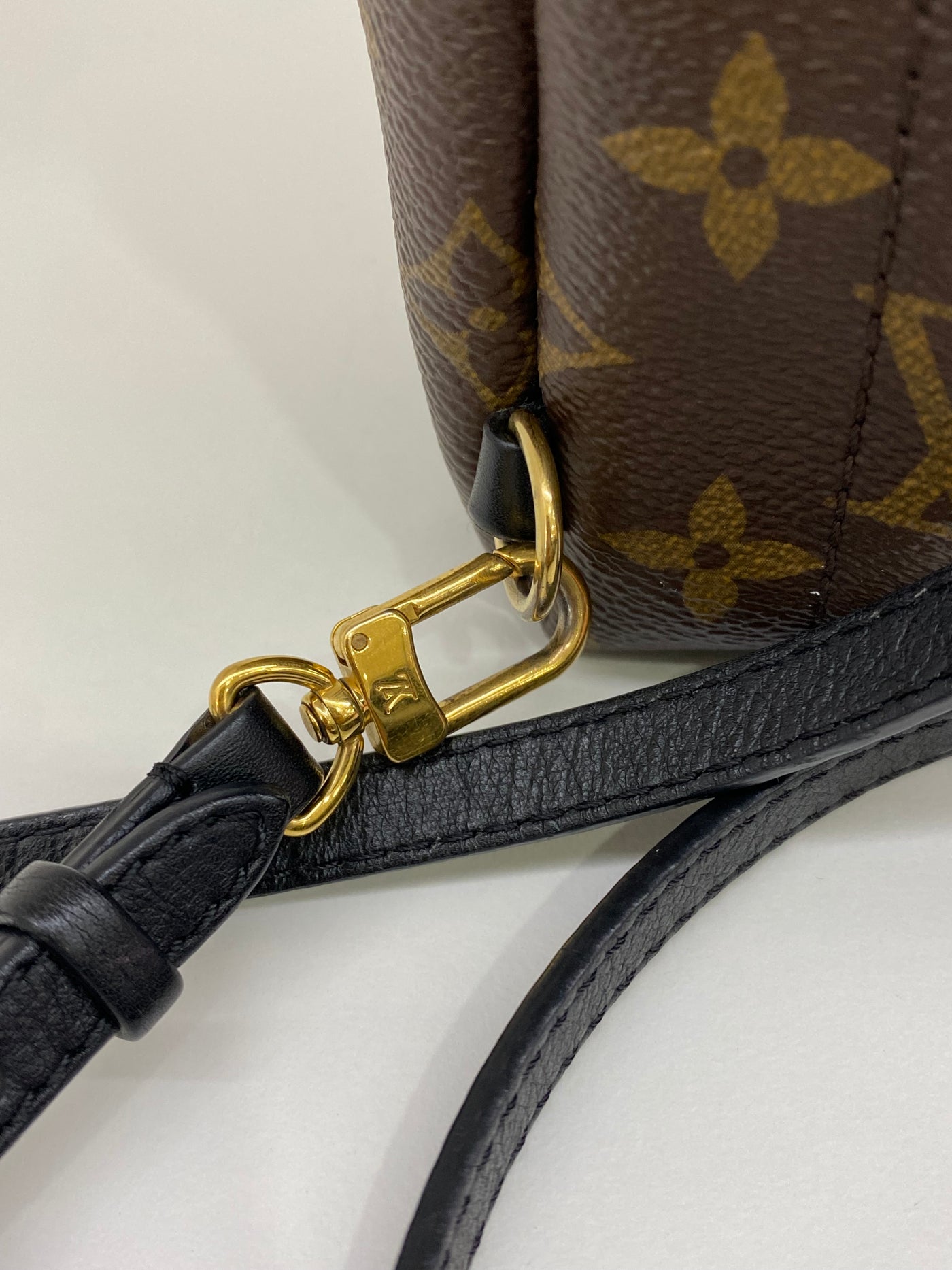 Louis Vuitton Mini Palm Springs Backpack Monogram