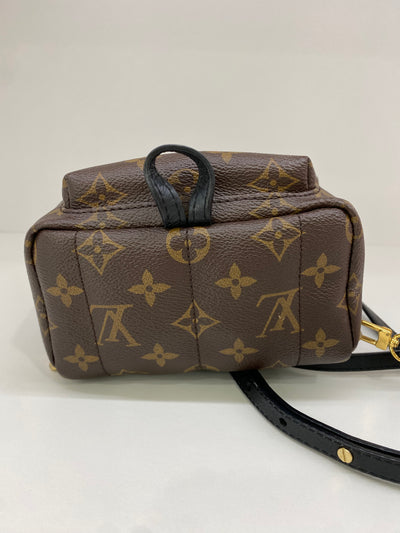Louis Vuitton Mini Palm Springs Backpack Monogram