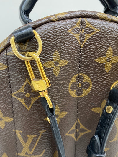 Louis Vuitton Mini Palm Springs Backpack Monogram
