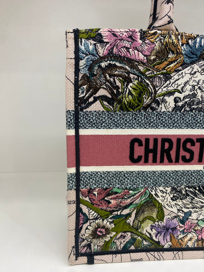 Dior Book Tote Colourful Small