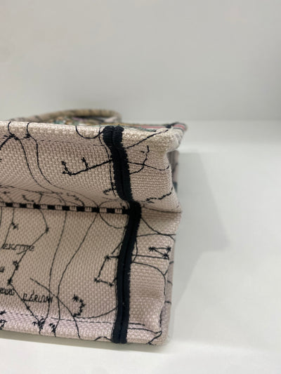 Dior Book Tote Colourful Small