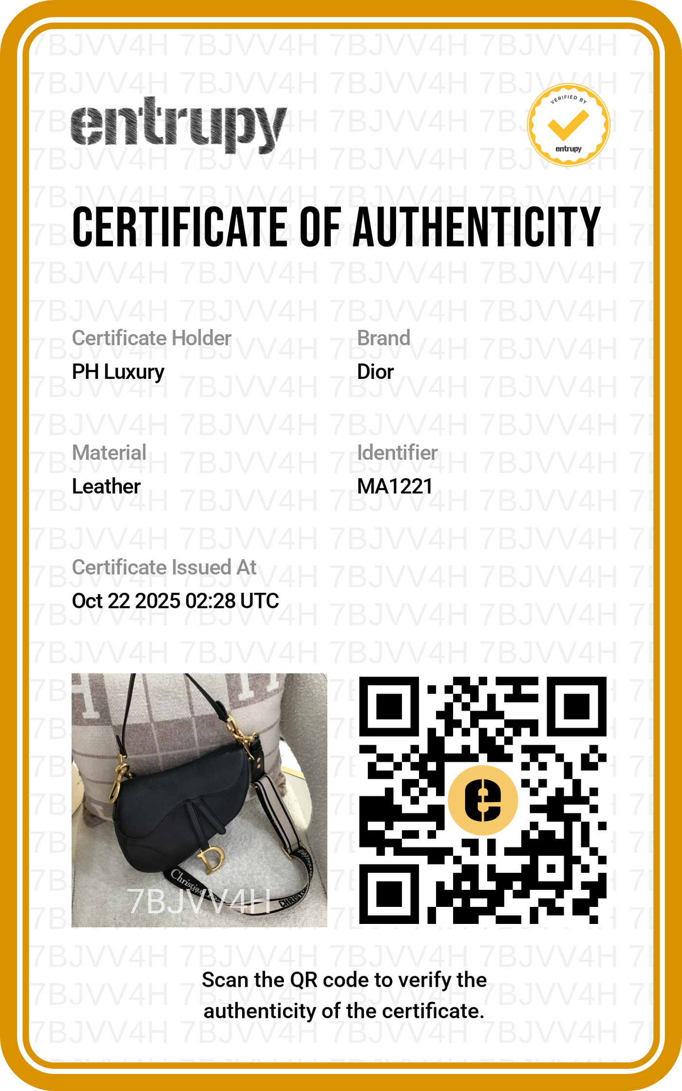 Dior Saddle Black GHW (with strap)