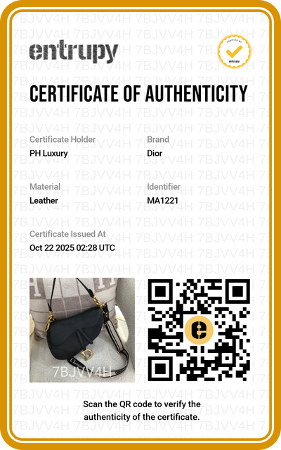 Dior Saddle Black GHW (with strap)