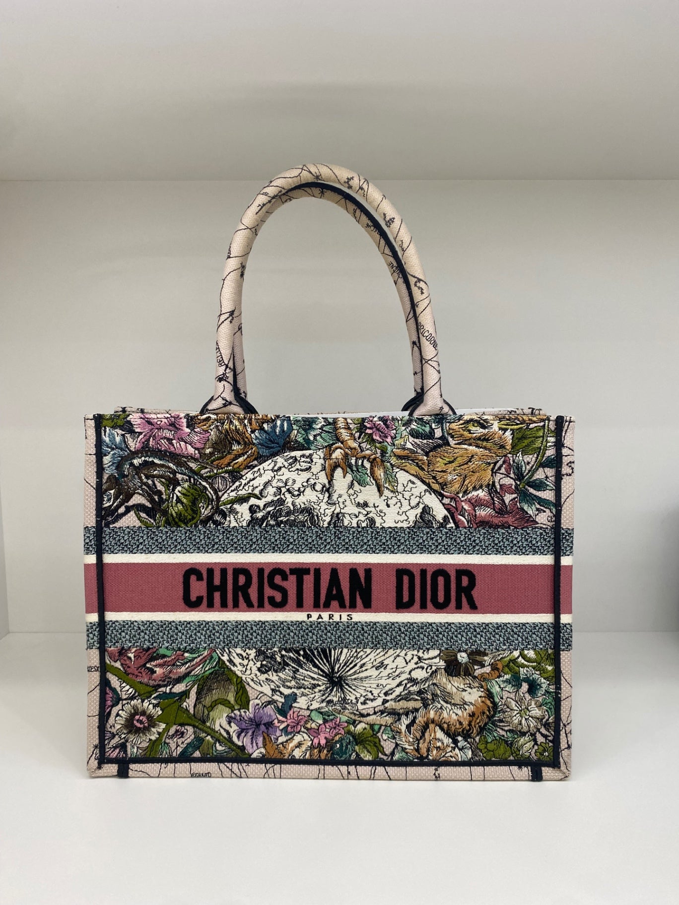 Dior Book Tote Colourful Small