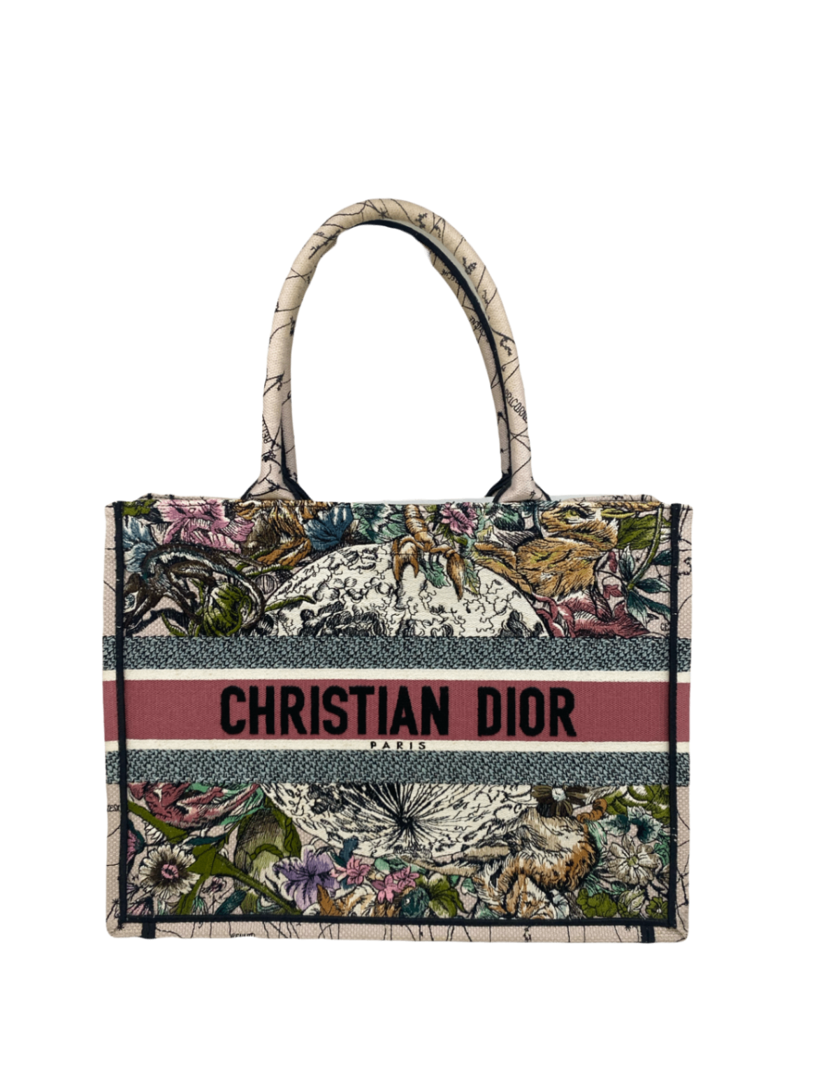 Dior Book Tote Colourful Small
