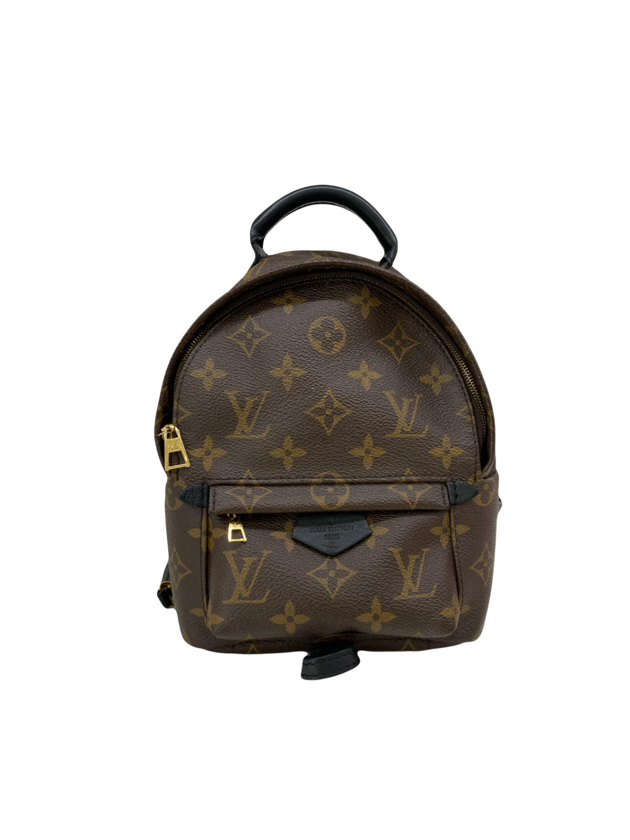 Louis Vuitton Bag Brown