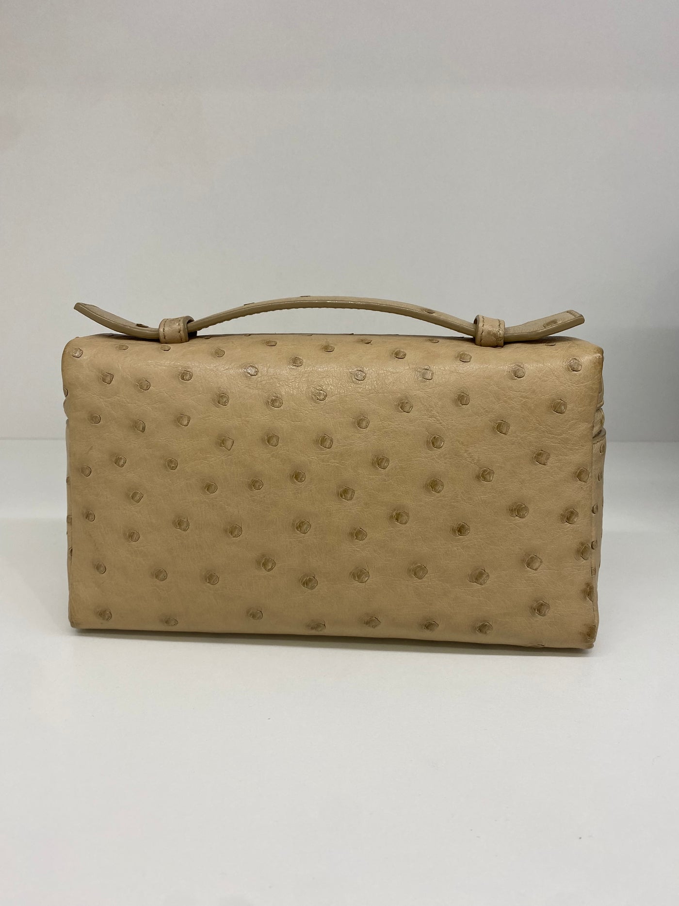 Loro Piana L19 Pouch Ostrich Beige SHW