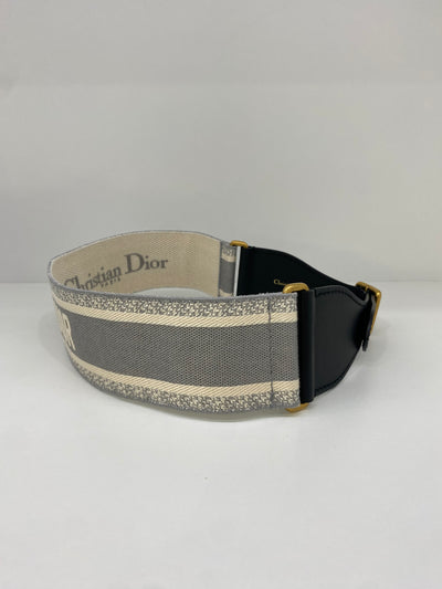 Christian Dior Saddle Belt Grey
