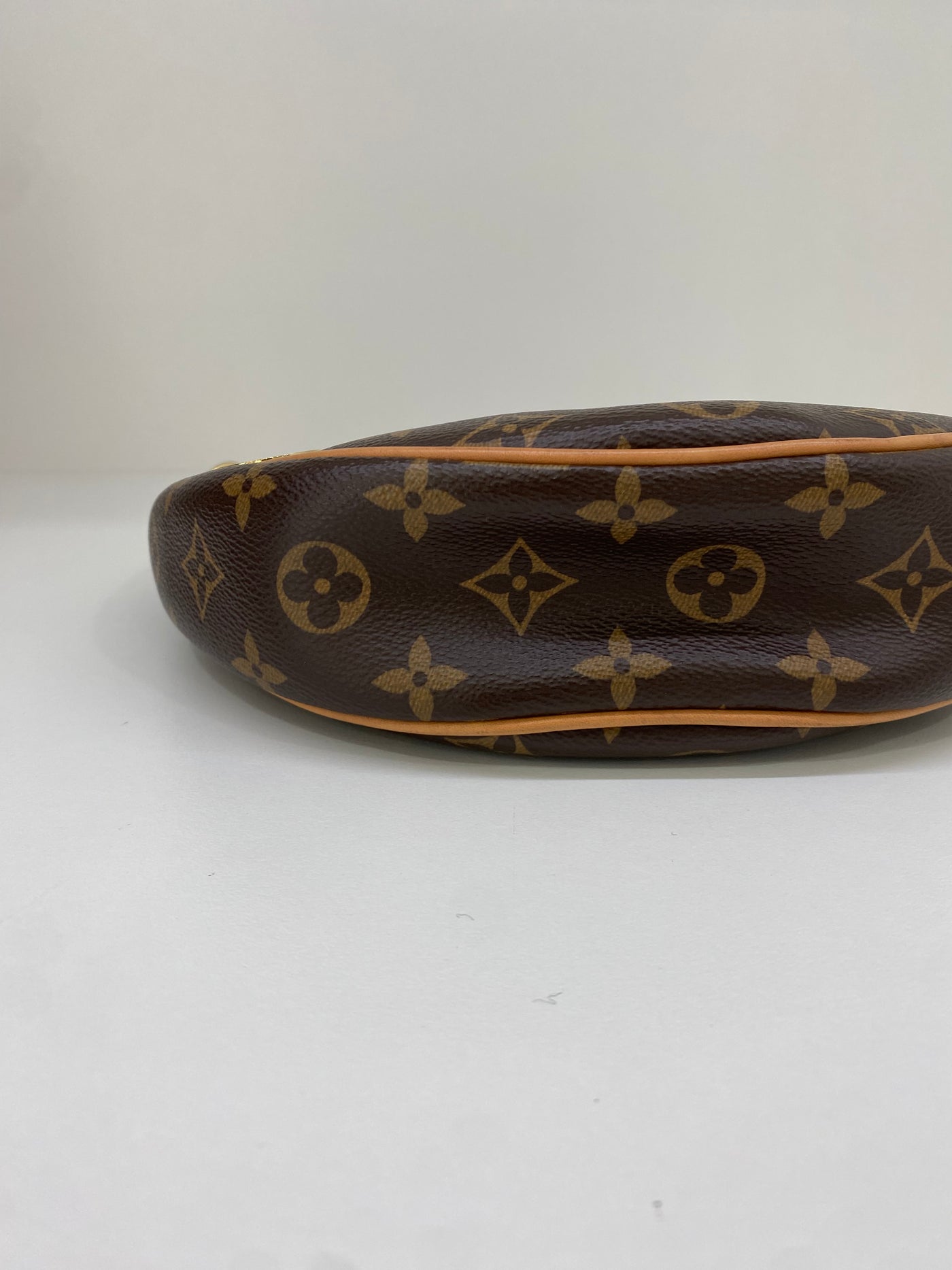 Louis Vuitton Loop Monogram GHW