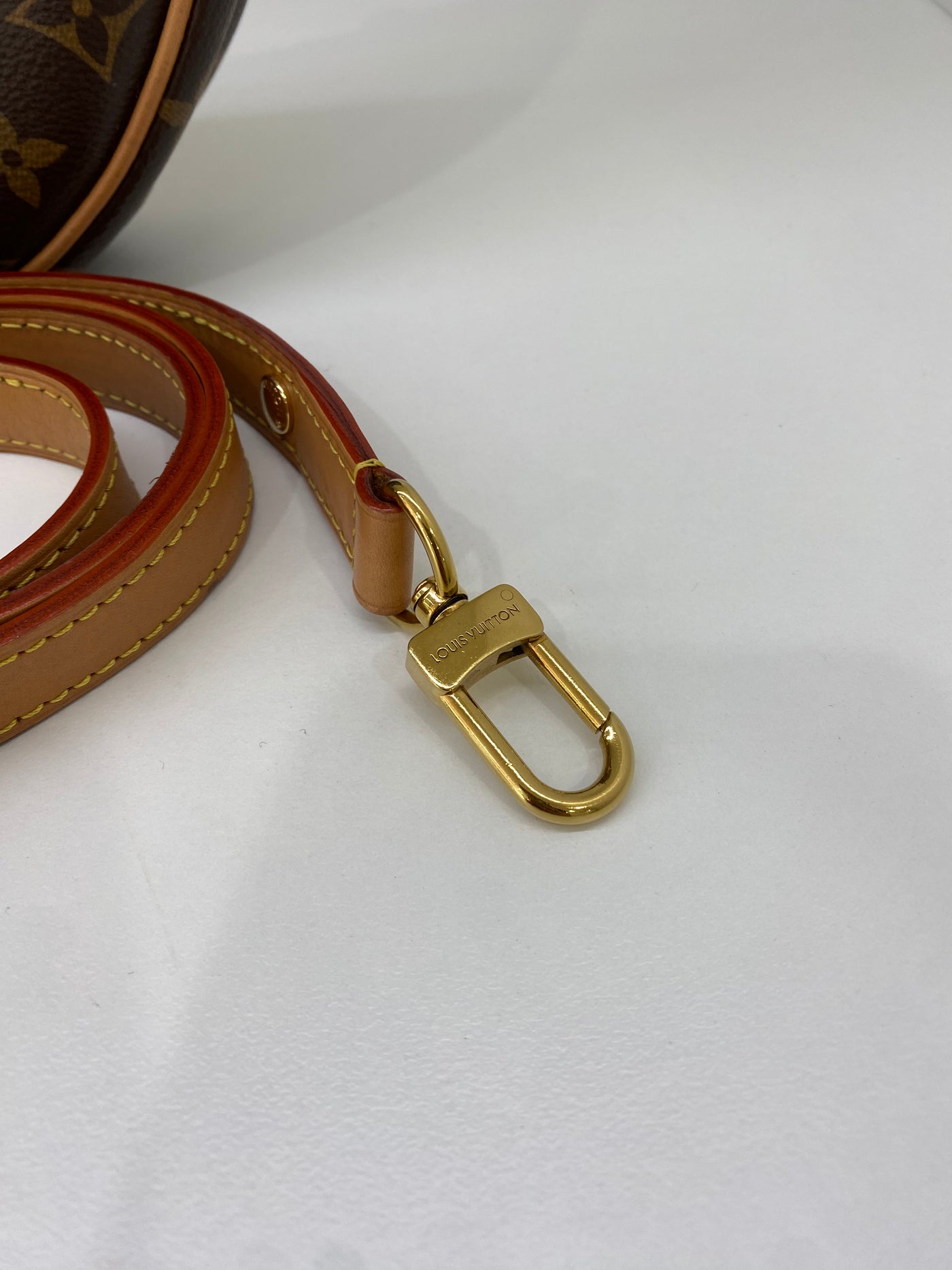 Louis Vuitton Loop Monogram GHW