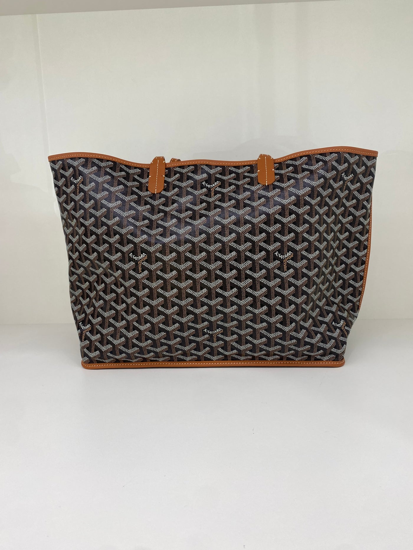 Goyard Anjou PM Black and Tan
