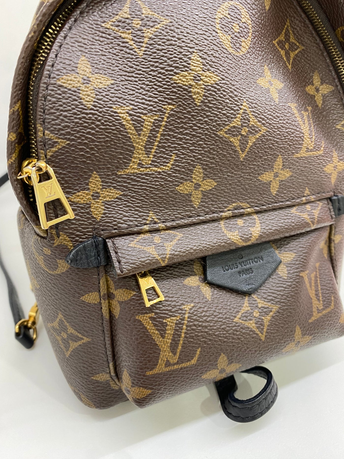 Louis Vuitton Mini Palm Springs Backpack Monogram