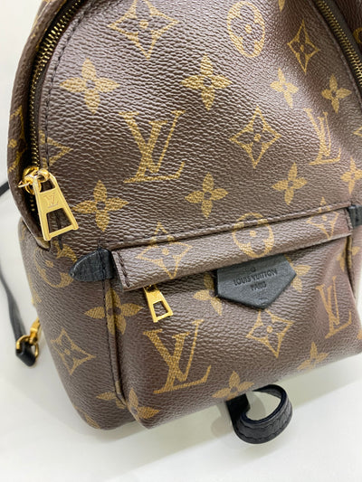 Louis Vuitton Mini Palm Springs Backpack Monogram