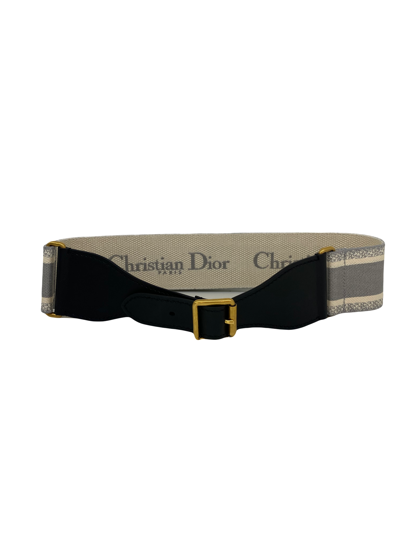 Christian Dior Saddle Belt Grey
