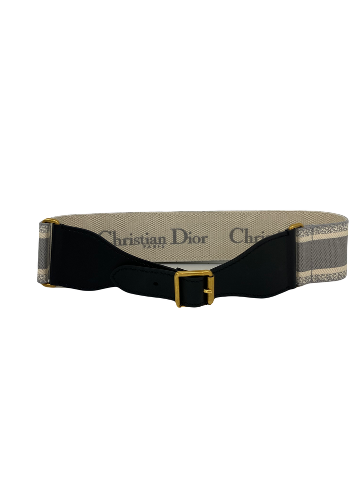 Christian Dior Saddle Belt Grey – PH Luxury Consignment