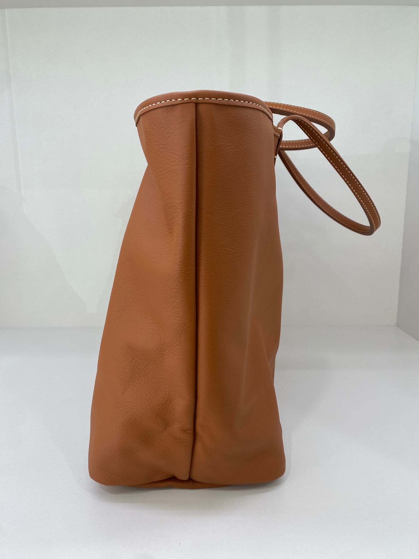 Goyard Anjou PM Black and Tan