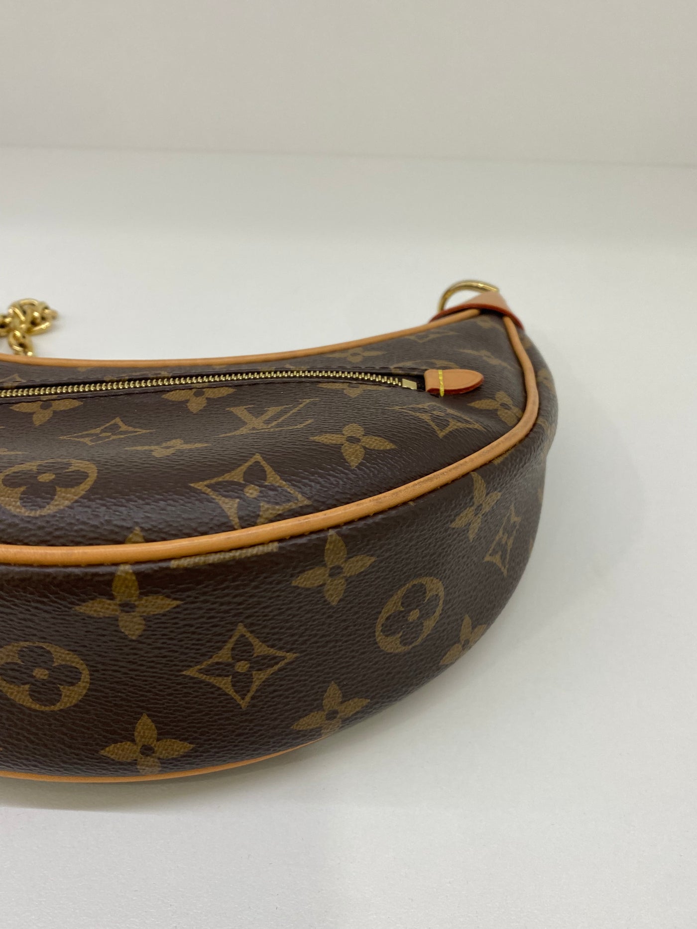 Louis Vuitton Loop Bag