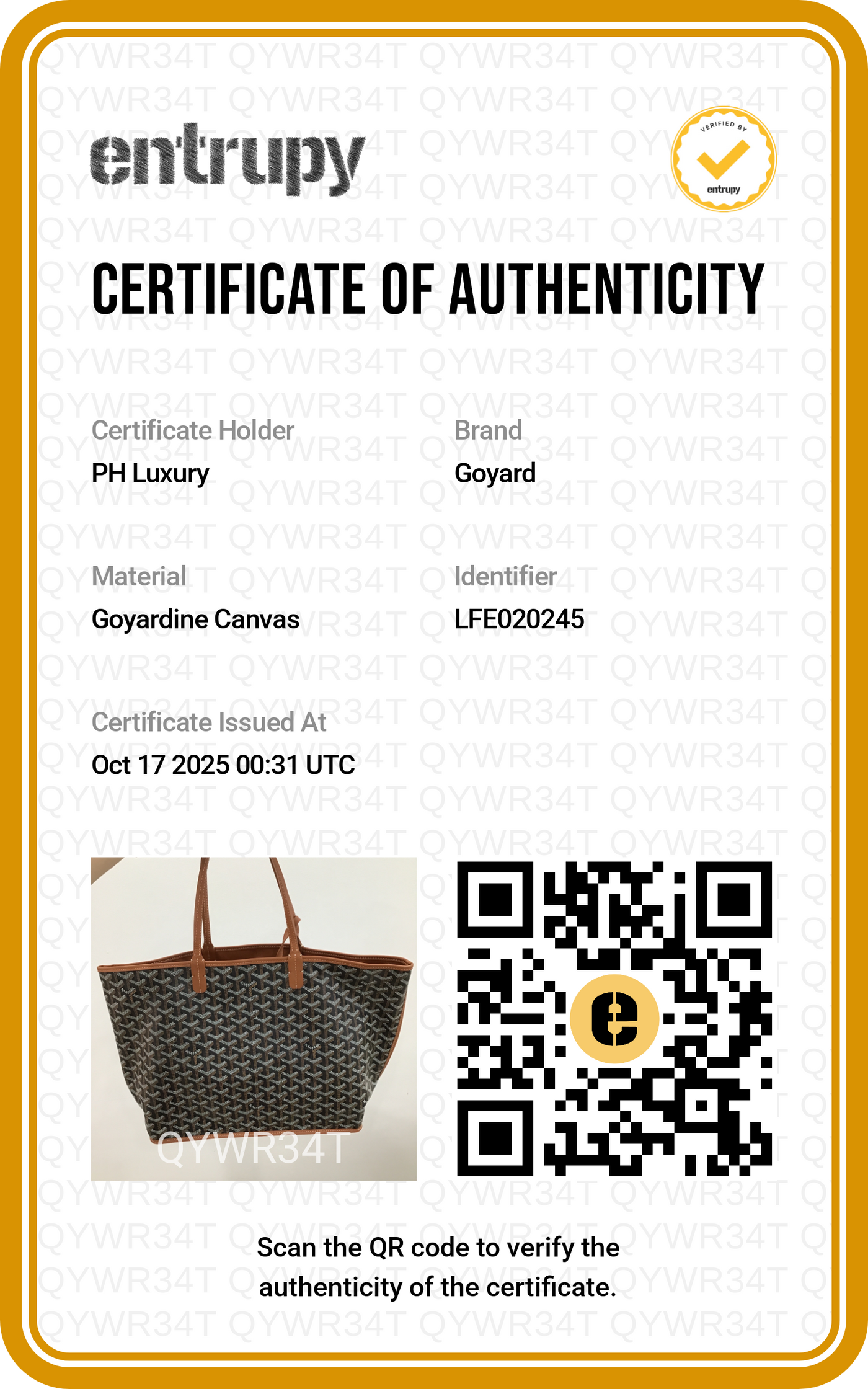 Goyard Anjou PM Black and Tan