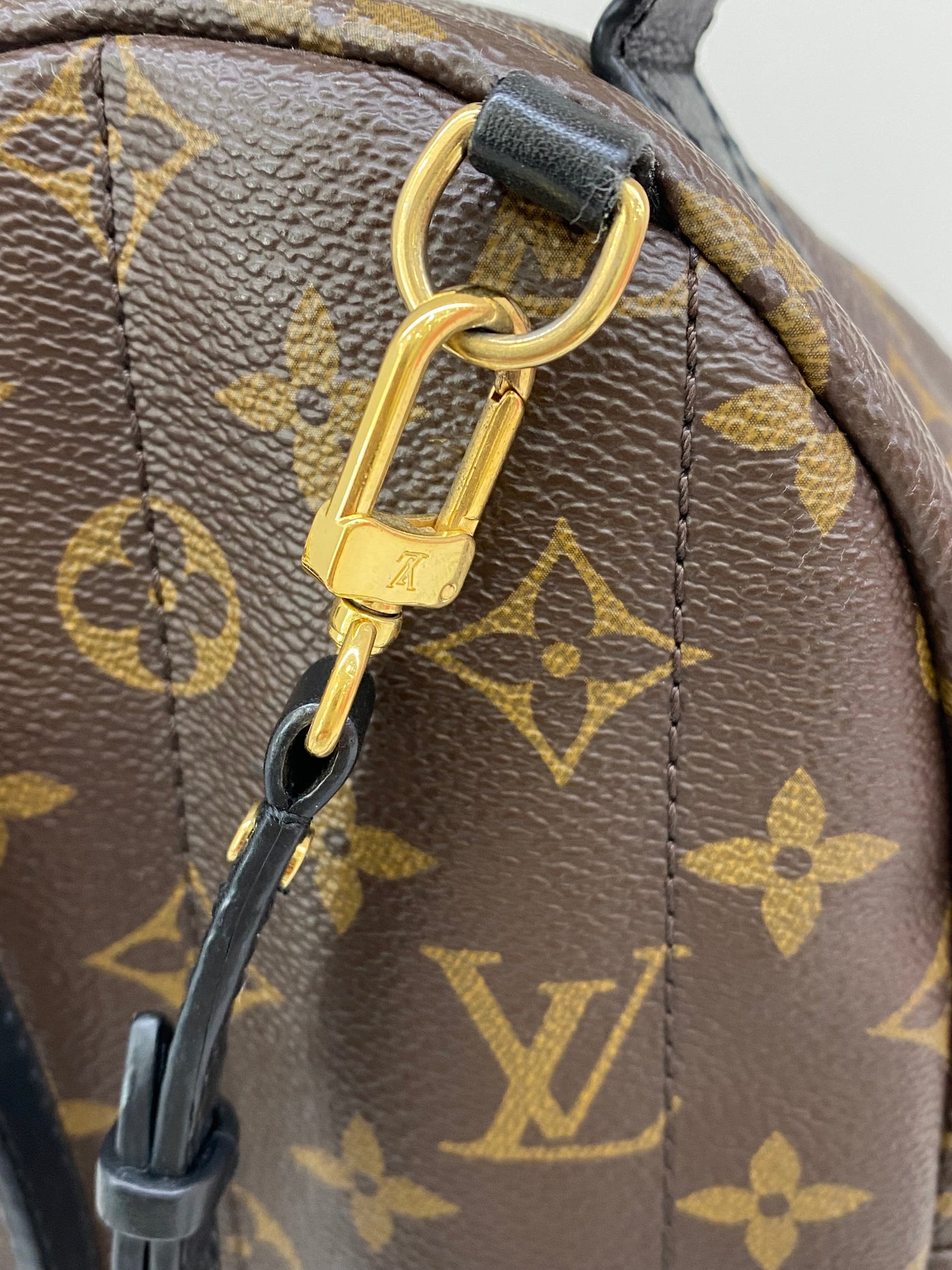 Louis Vuitton Mini Palm Springs Backpack Monogram