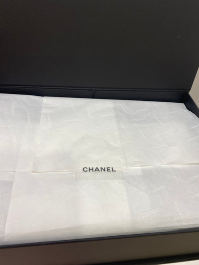 Chanel Classic Flap Top Handle Multicolour Ombré
