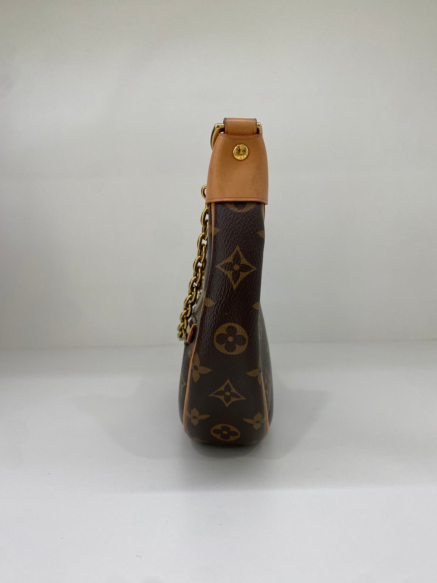 Louis Vuitton Loop Monogram GHW