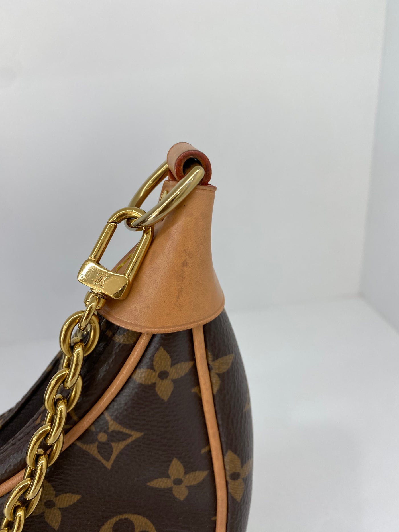 Louis Vuitton Loop Monogram GHW