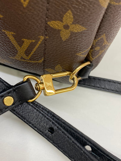 Louis Vuitton Mini Palm Springs Backpack Monogram