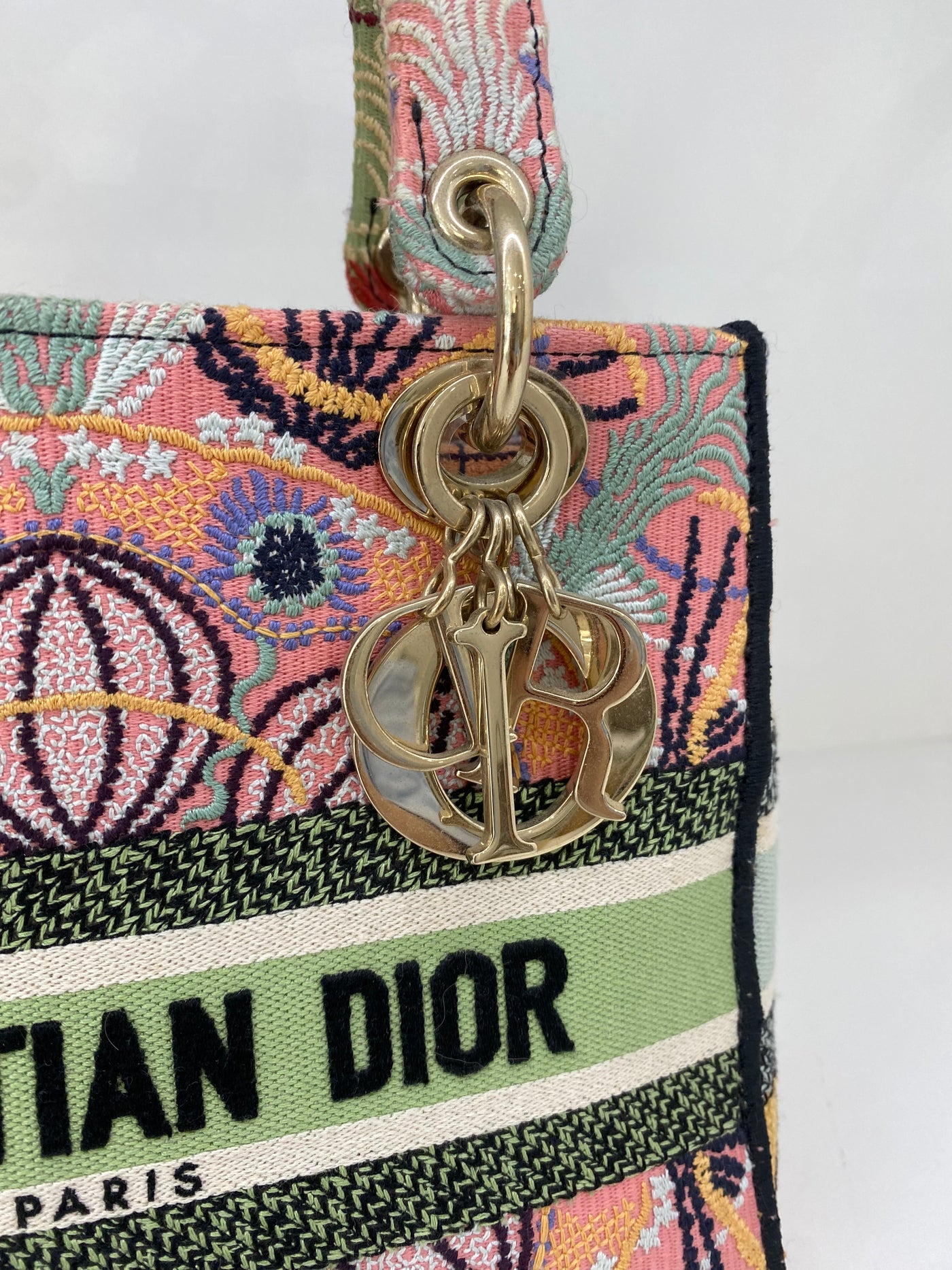 Christian Dior Lady Dior Medium Multicolor Canvas (Limited Edition)
