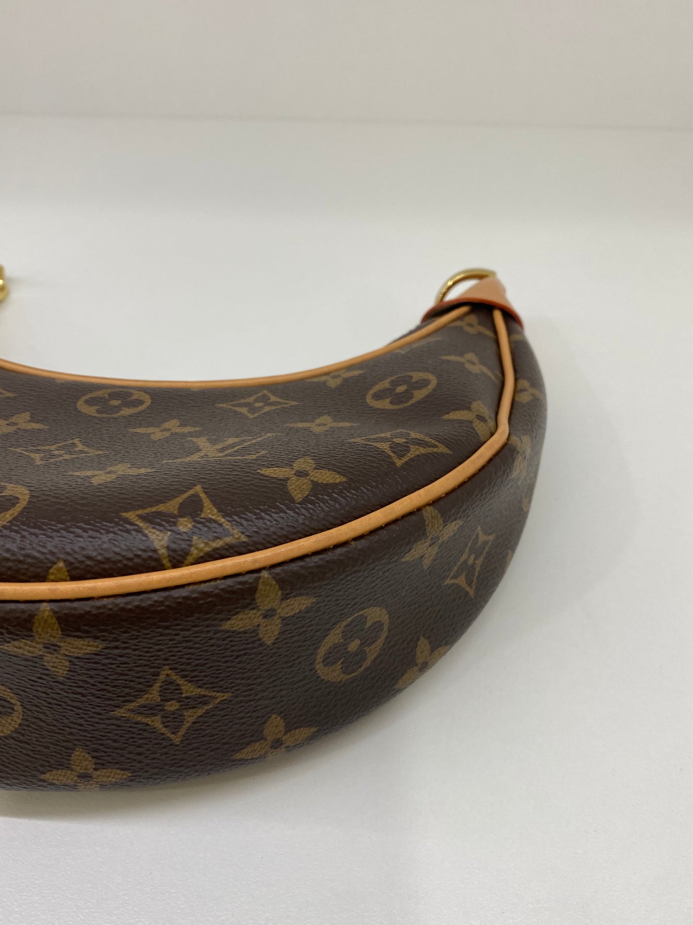 Louis Vuitton Loop Bag