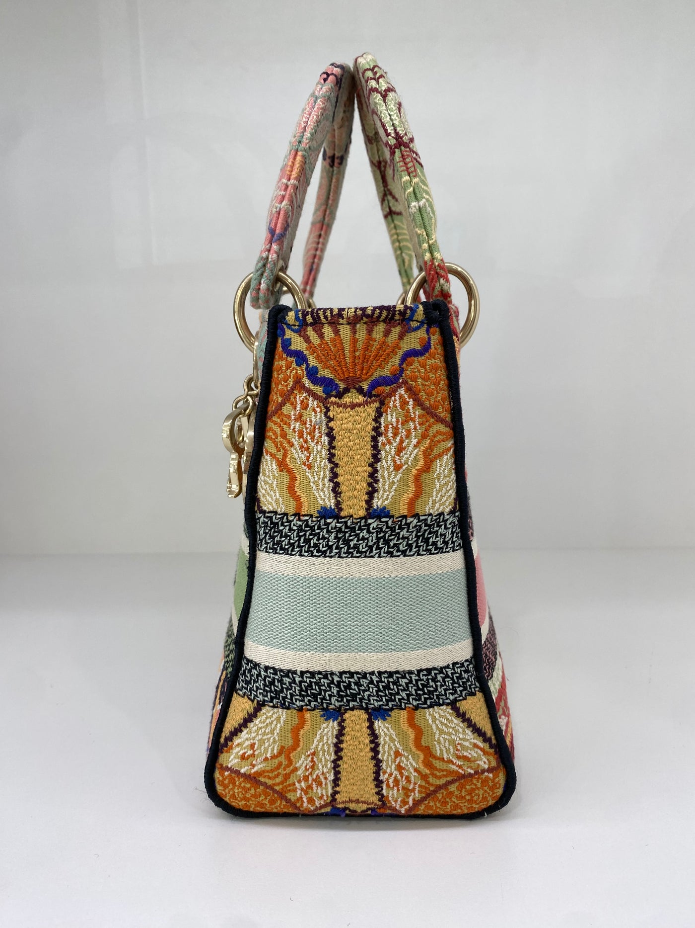Christian Dior Lady Dior Medium Multicolor Canvas (Limited Edition)
