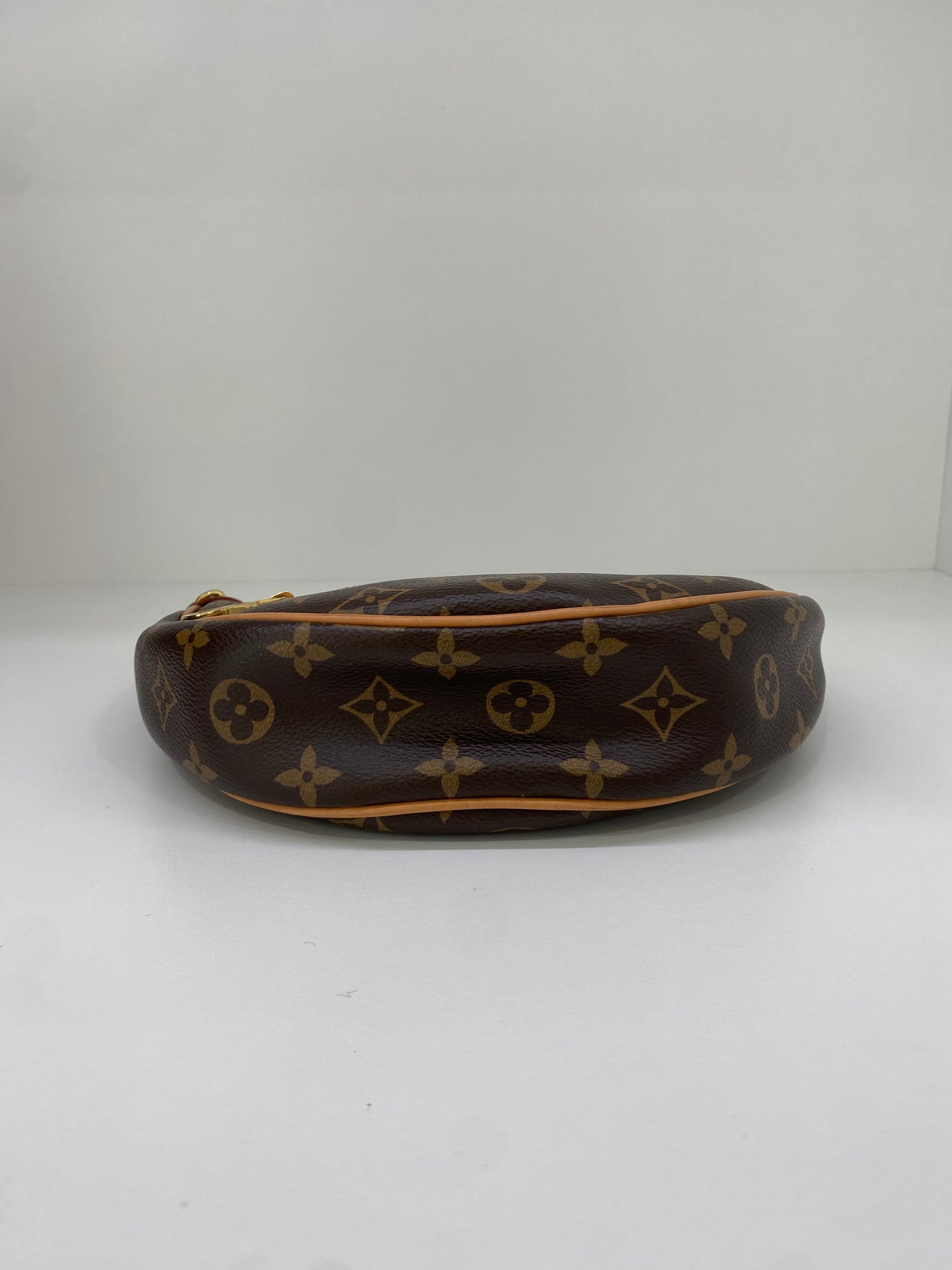 Louis Vuitton Loop Monogram GHW