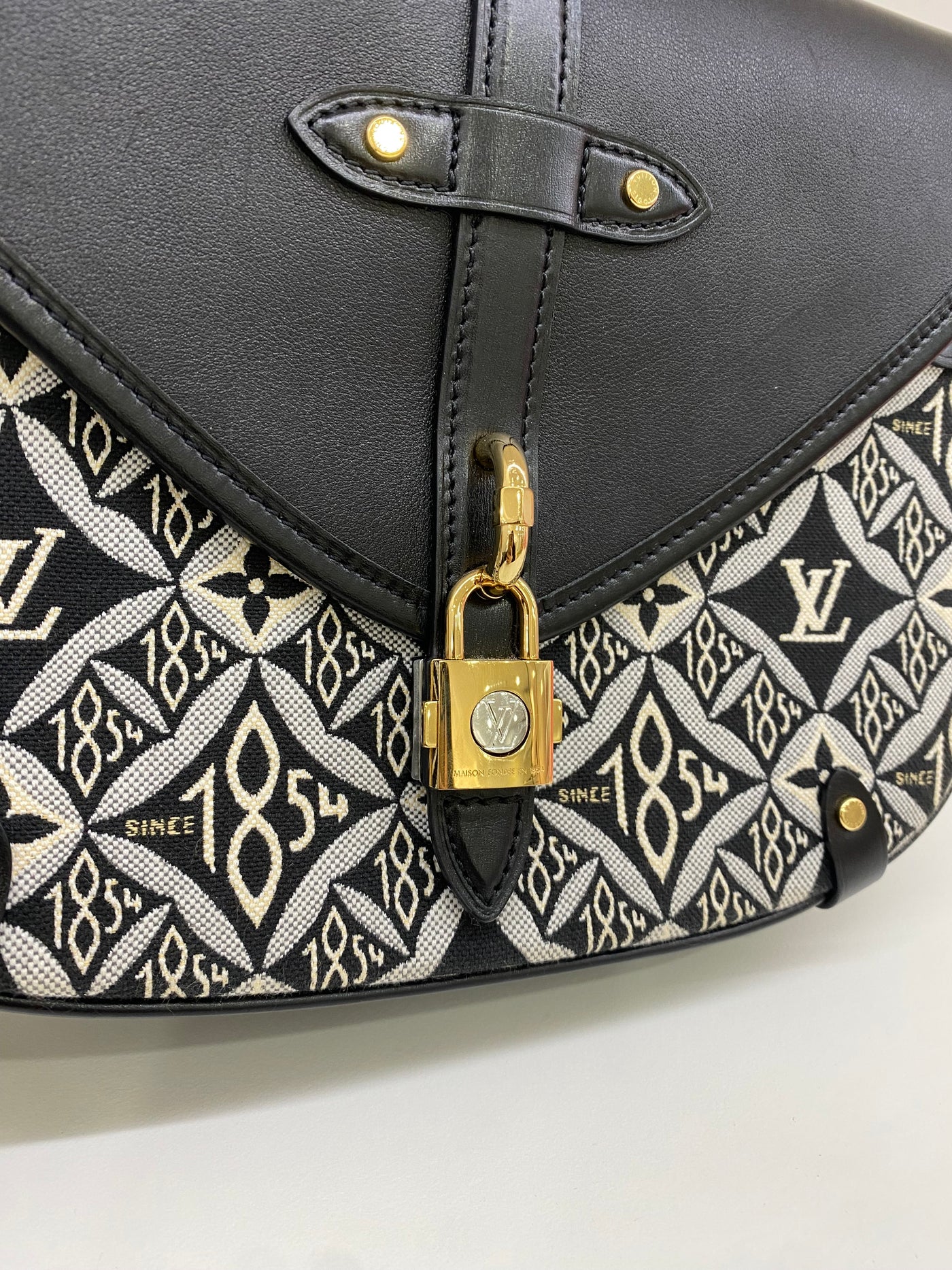 Louis Vuitton Neo Saumur limited edition - 2022 microchip