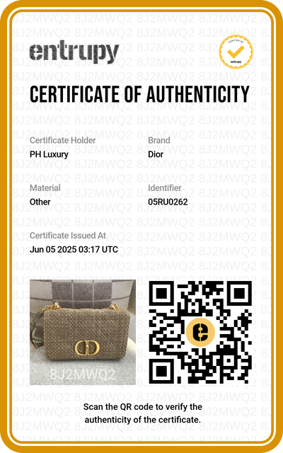 Dior Tweed Embroidered Medium Caro Bag in Beige & Gold