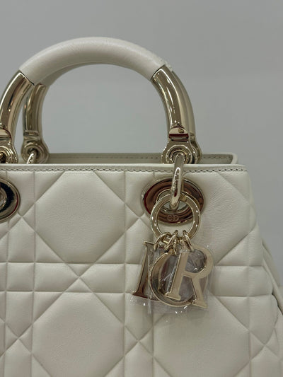 Christian Dior Lady 95.22 bag