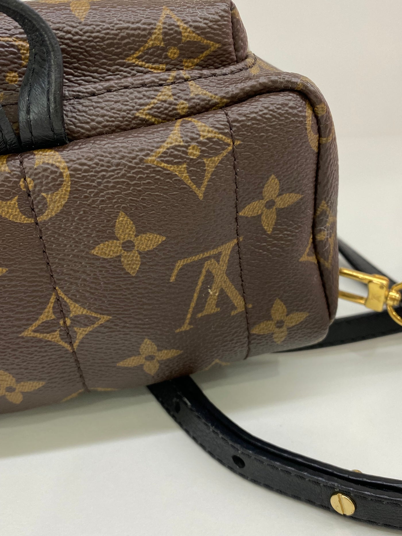 Louis Vuitton Mini Palm Springs Backpack Monogram