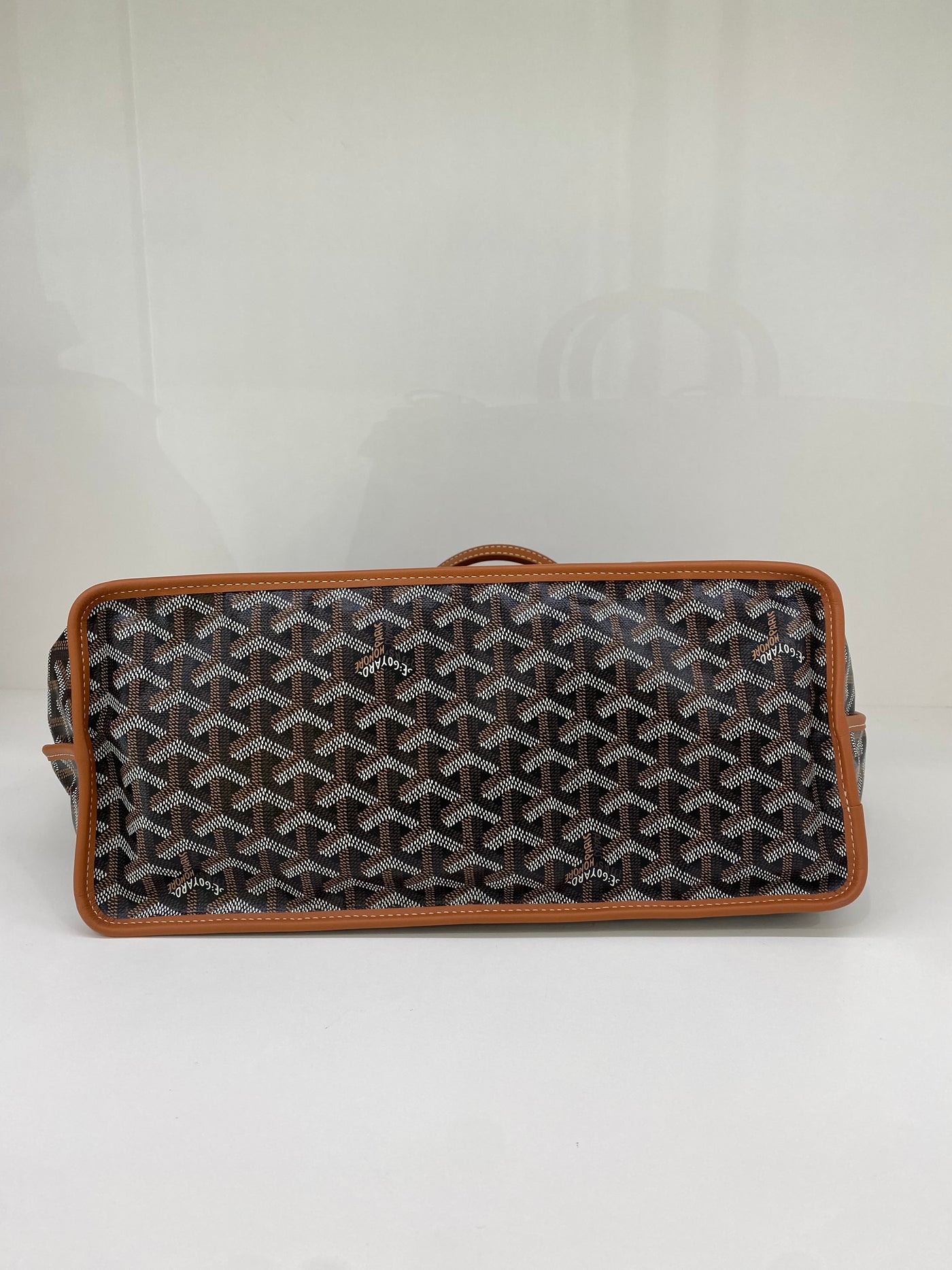 Goyard Anjou PM Black and Tan