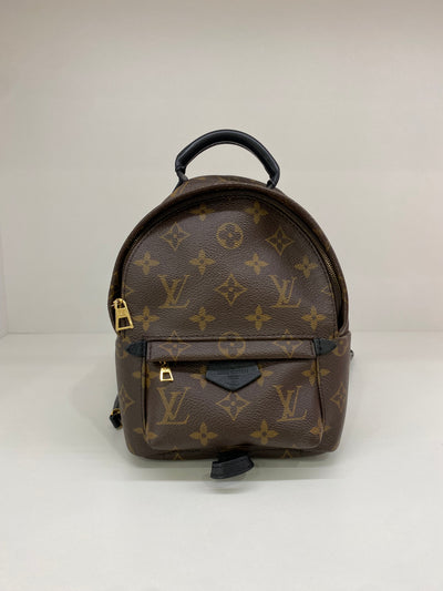 Louis Vuitton Mini Palm Springs Backpack Monogram