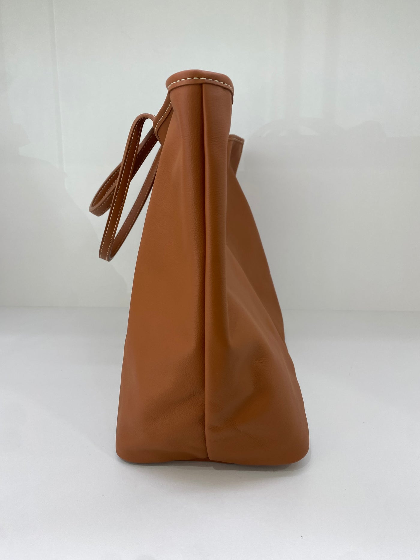 Goyard Anjou PM Black and Tan