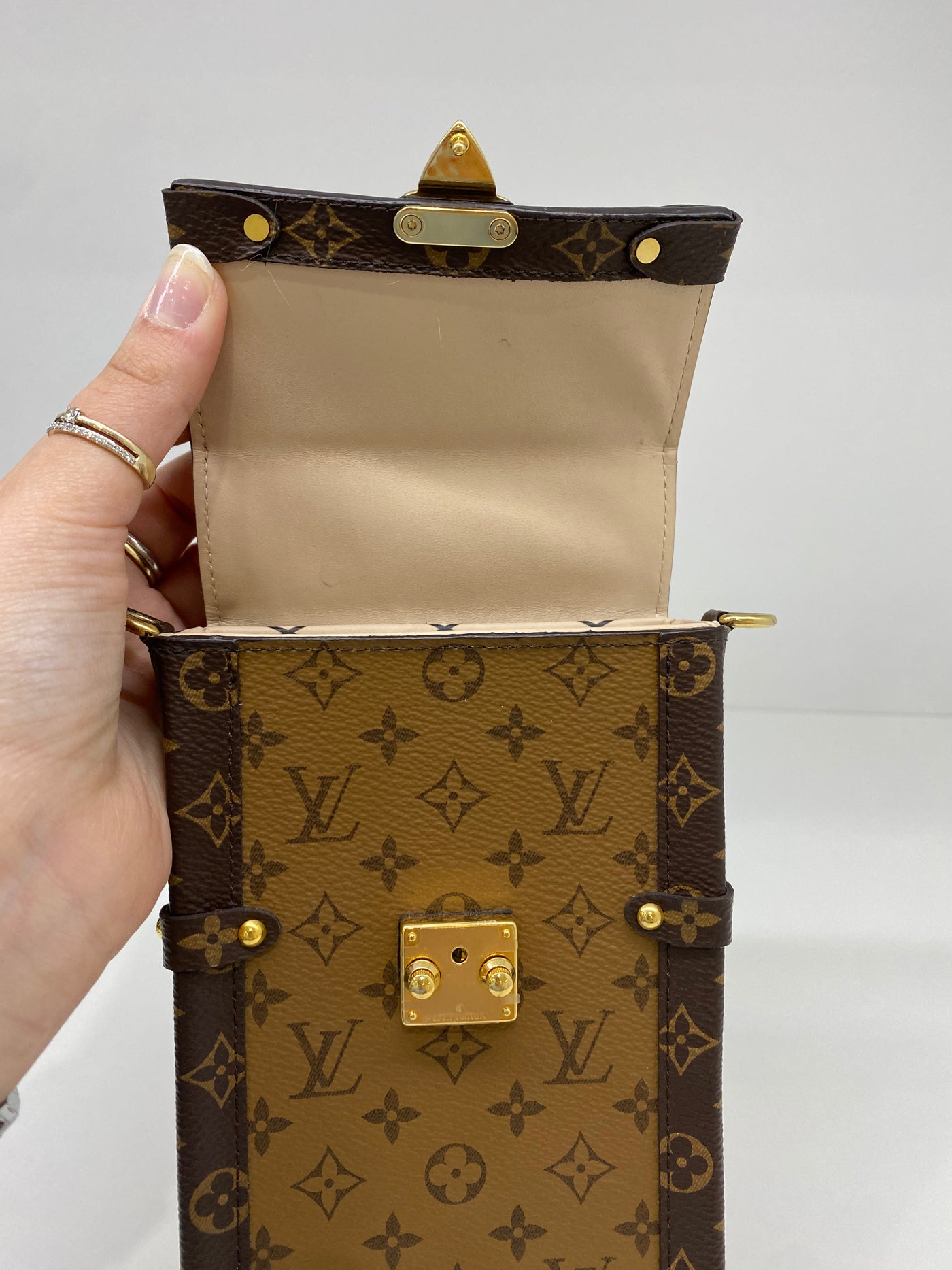Louis Vuitton Pochette Trunk Vertical