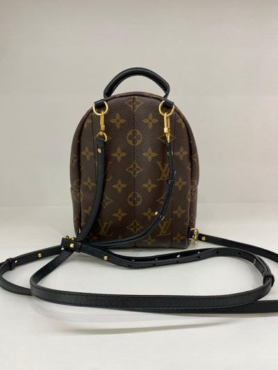 Louis Vuitton Mini Palm Springs Backpack Monogram