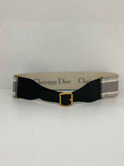 Christian Dior Saddle Belt Grey
