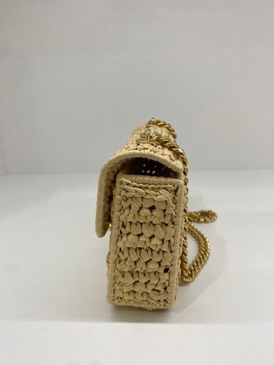 Celine Raffia Mini Trimophe