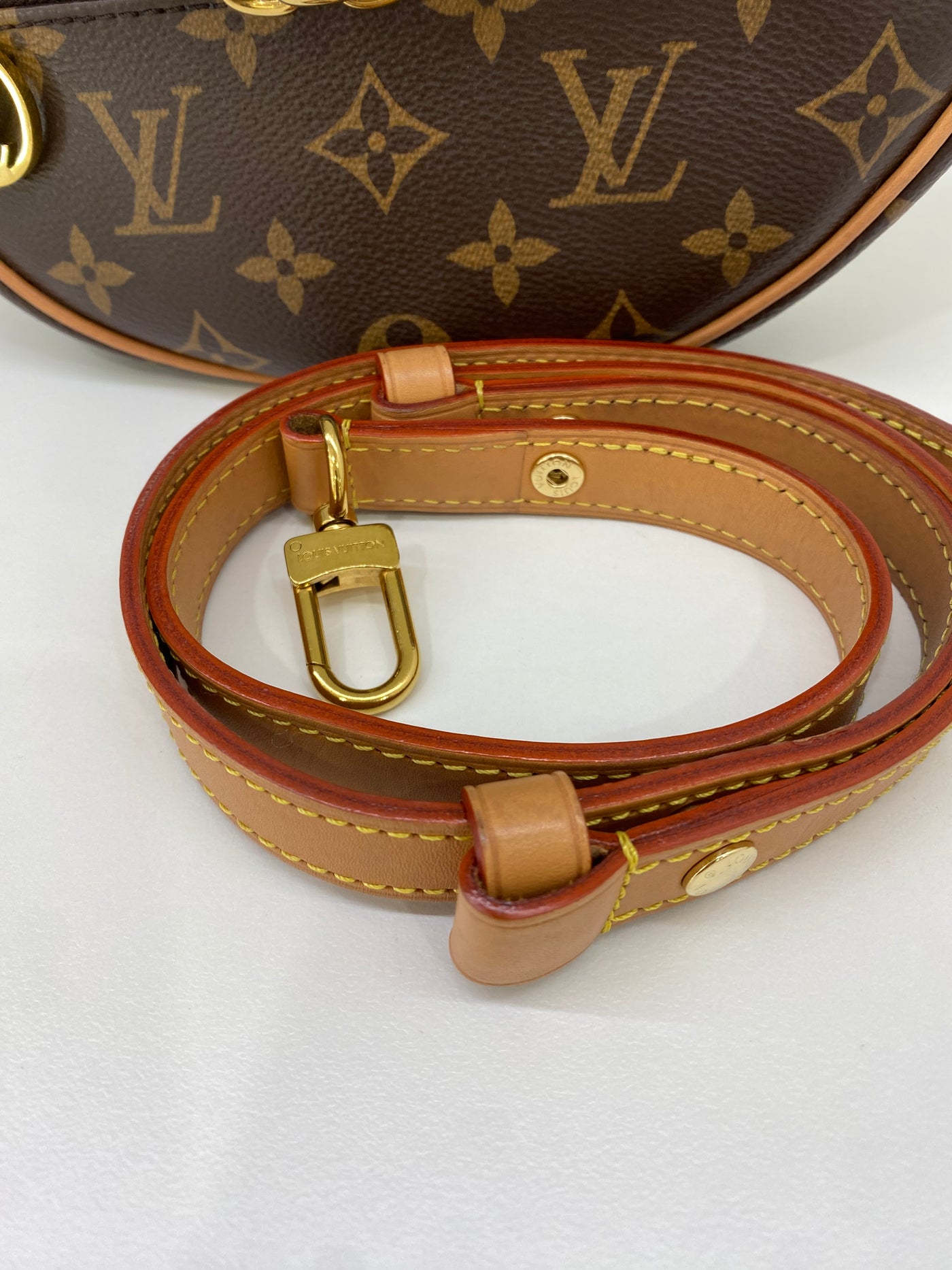 Louis Vuitton Loop Monogram GHW