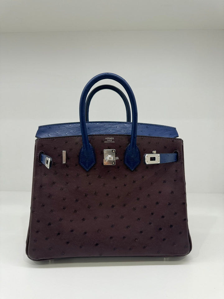 Hermes Birkin 25 Navy Blue and Brown Ostrich PHW – PH Luxury - Main Image