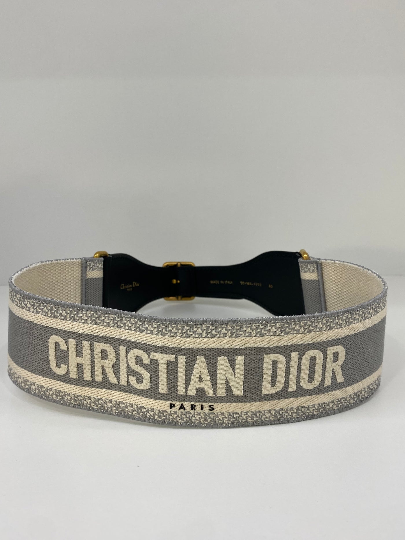 Christian Dior Saddle Belt Grey