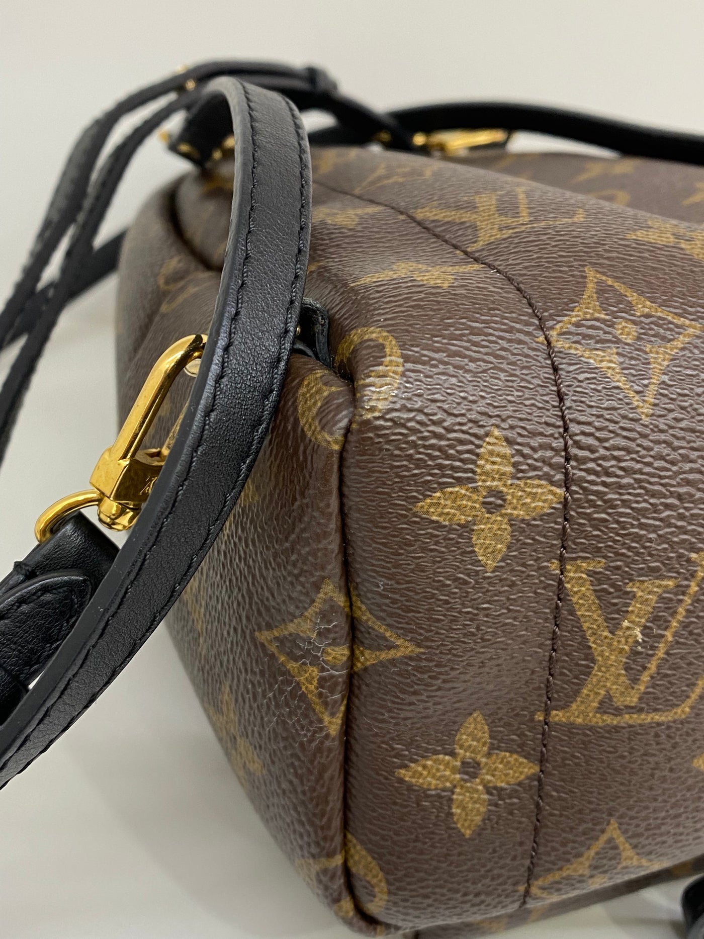Louis Vuitton Mini Palm Springs Backpack Monogram