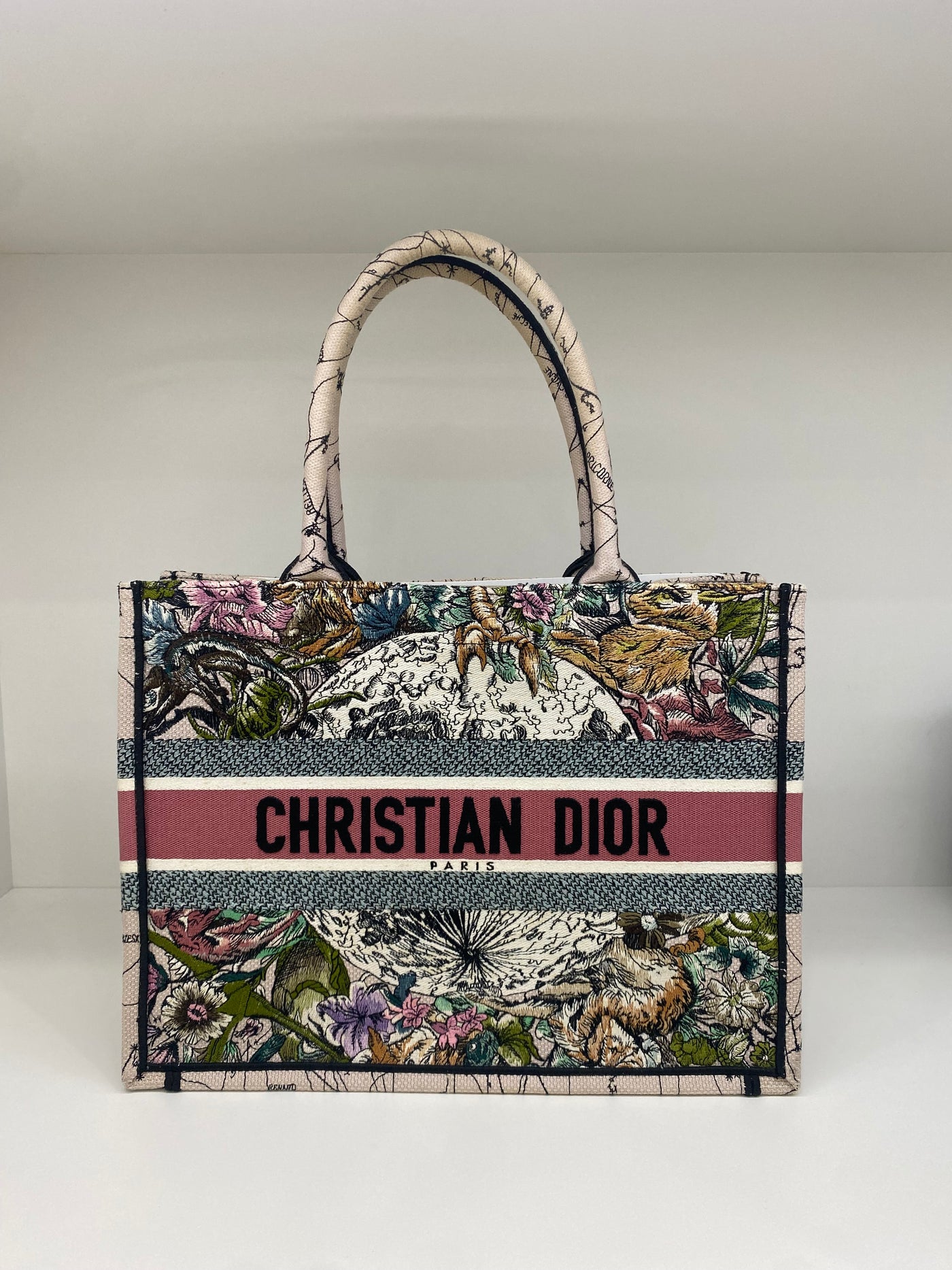 Dior Book Tote Colourful Small