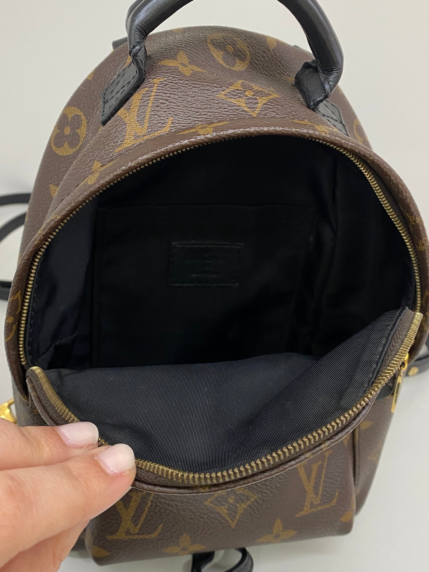 Louis Vuitton Mini Palm Springs Backpack Monogram